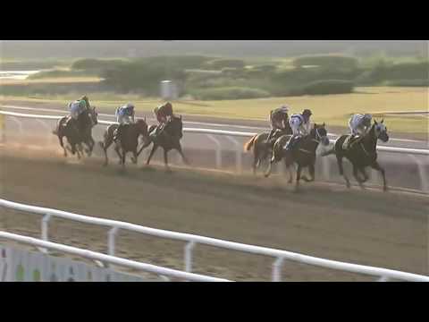 2016.06.16 Svenskt Derby Trial - Ramstein