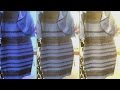 Dress debate divides internet - YouTube