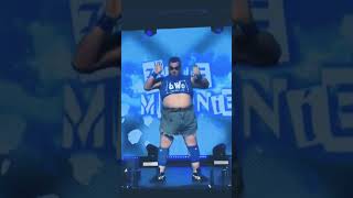 Blue meanie ROH entrance