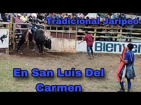 Tradicional Jaripeo En El Distrito De San Luis Del Carmen 