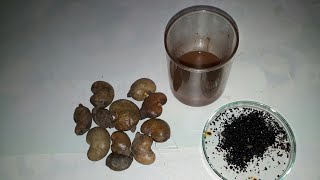 Making Anacardic Acid with Cashew Nuts