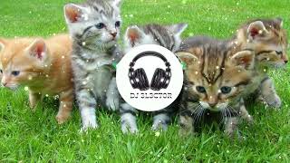 Download lagu billie eilish meow meow meow meow extended 1 hour πΆ mp3 Download lagu billie eilish meow meow meow meow extended 1 hour πΆ mp3