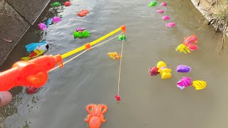 Download lagu Memancing Ikan Hias, Ikan Koi, Ikan Mas, Ikan Nemo, Ikan lele, Ikan marlin, Ikan Badut mp3