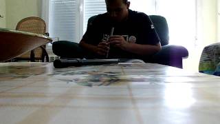 siempre igual celtas cortos tin whistle