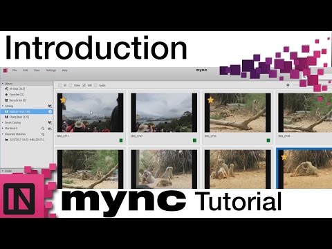 Mync Tutorial - Introduction