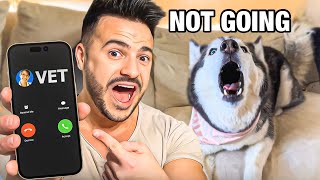 Phone Call From The Vet GOES WRONG! (MY HUSKY FREAKS OUT)