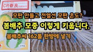 봄배추 모종키우기 모판 전열선 온도 설정 [봄배추재배방법]