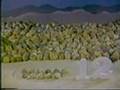 Sesame Street 12 Rocks In The Desert
