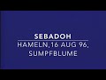 SEBADOH - Hameln (Germany), 16 Aug 1996, Sumpfblume (with soundboard/audience-matrix-sound)