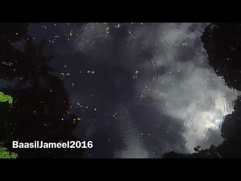 Laamu Gan Paree fengandu