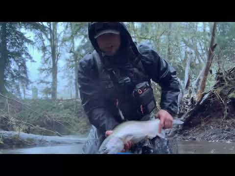 Early Winter Steelhead 2021. Bobber Downs and Spinner Eats!