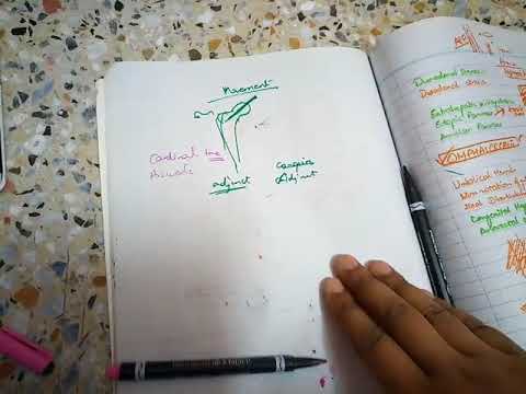 JOINT explanation in easy wayin general anatomy part 4