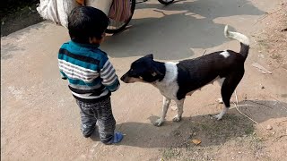 Samrat Street Dog Friendship Failed 😘