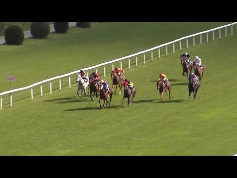 6. dostih - CENA FONDU OHROŽENÝCH DĚTÍ - dostihy Velká Chuchle 19. 5. 2019