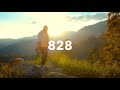 828