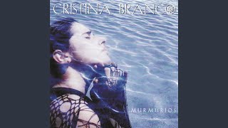 O Palhaço E O Ministro Lyrics English Translation