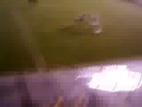 Santos 4x3 Figueirense