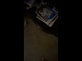 Backyardigans Volume 2 Part 5