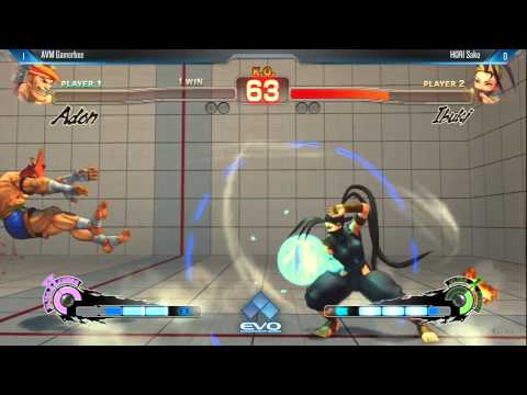 [EVO 2014 USFIV Top 32] AVM Gamerbee (Adon) vs HORI Sako (Ibuki)