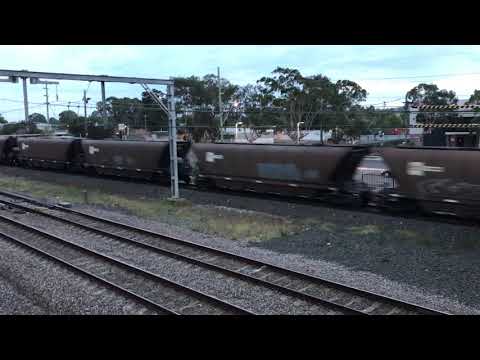 SSR LOADED COAL TRAIN TM02 at ingleburn bound for the hunter