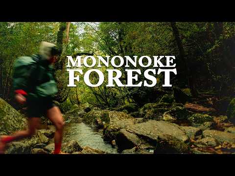 Hiking Japan's Yakushima Island | Wrapped In Green