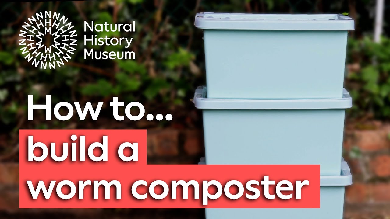 How to make a worm composter Natural History Museum