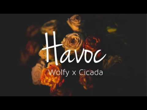 Havoc (Wolfy x Cicada)