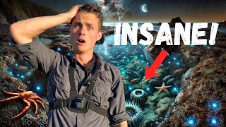 Searching For CREEPY Tide Pool Creatures at NIGHT!
