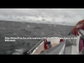 Videos Storms Sea Sea Cat In Rough Seas Of The Algarve Eye Of The Camera By Aidan McCormack
