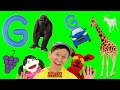 Letter G Song Learn The Alphabet With Matt What Starts With G