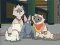 Sagwa Fur Cut Magistrate Loses His Post PBS Kids Airing