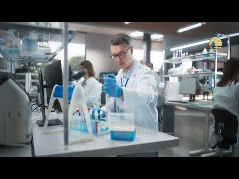 AI in clinical imagery