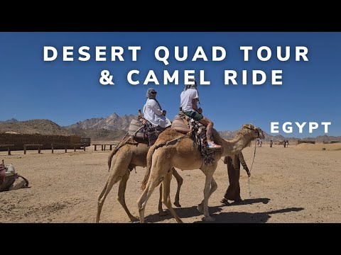 Hurghada Egypt Desert Tour | Camel Ride & Visit to Bedouin Village