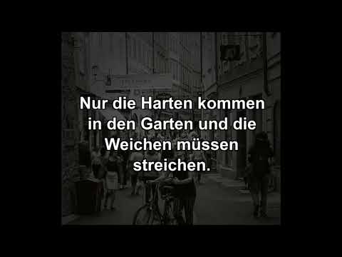 Weiterhin frohes schaffen