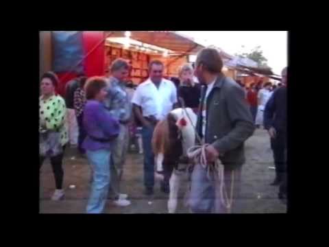 Búcsú 1993 - Lajosmizse