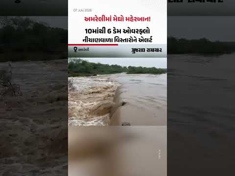 અમરેલીમાં મેઘો મહેરબાન! 10માંથી 6 ડેમ ઓવરફ્લો, નીચાણવાળા વિસ્તારોને એલર્ટ અમરેલીમાં મેઘો મહેરબાન! 10માંથી 6 ડેમ ઓવરફ્લો, નીચાણવાળા વિસ્તારોને એલર્ટ