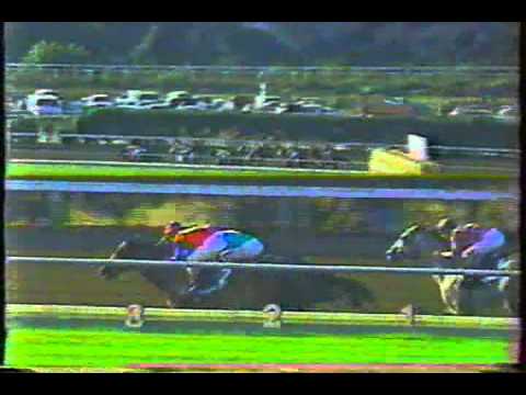 1990 Cabrillo Handicap - Miserden