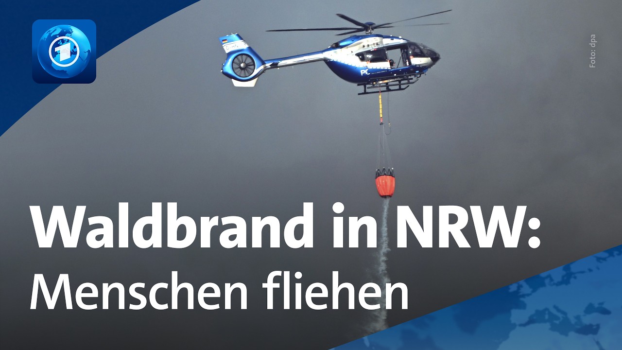 Evakuierung in NRW: 2.000 Menschen flüchten vor Waldbrand in der Eifel