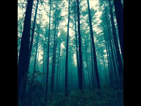 Martin Goodwin - Hearth