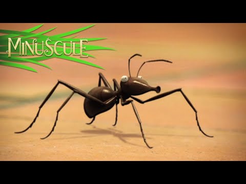 Minuscule – Compilation #2