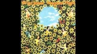 Wizz Jones - Canned Music