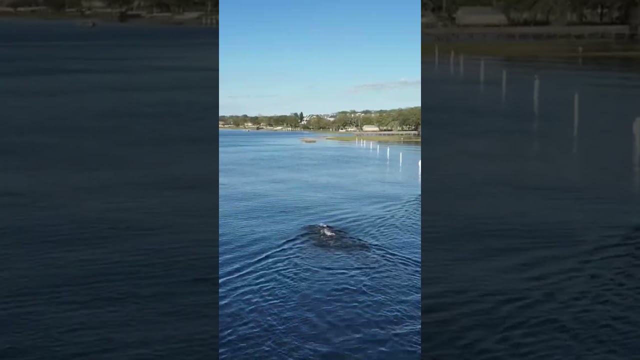 Having WAY TOO MUCH FUN on swim-run days at triathlon camp #vlog #triathlon #shorts