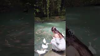 Download lagu Intan Aninda mp3 Download lagu Intan Aninda mp3