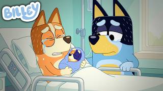 Episódio de Bluey: O Dia que a Chilli Perdeu o Primeiro Bebê