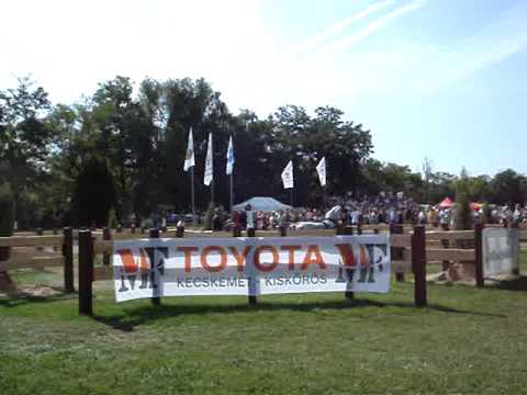 WM Kecskemet HUN 09 Beat Auer SUI H6