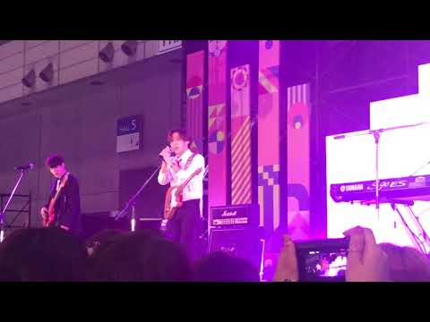 The Rose  Baby  (20190519 Kconjapan)