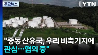 중동 산유국, 우리 비축기지에 관심...이번 주 에틸렌 등 수급 조정 / YTN