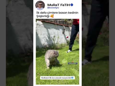 Bu Yeşil Şeyler De Ne?!