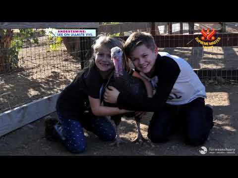 ( P. 4 ) Prophecy of the Golden Age  - Prophecies of Clairvoyants.