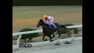 20040104　名古屋競馬のアラブ最後の大物　キジョージャンボ